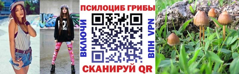 Купить где  Карталы  Псилоцибиновые грибы Cubensis 